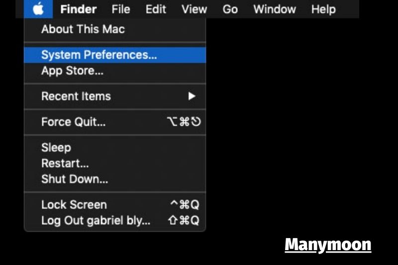 Open System Preferences